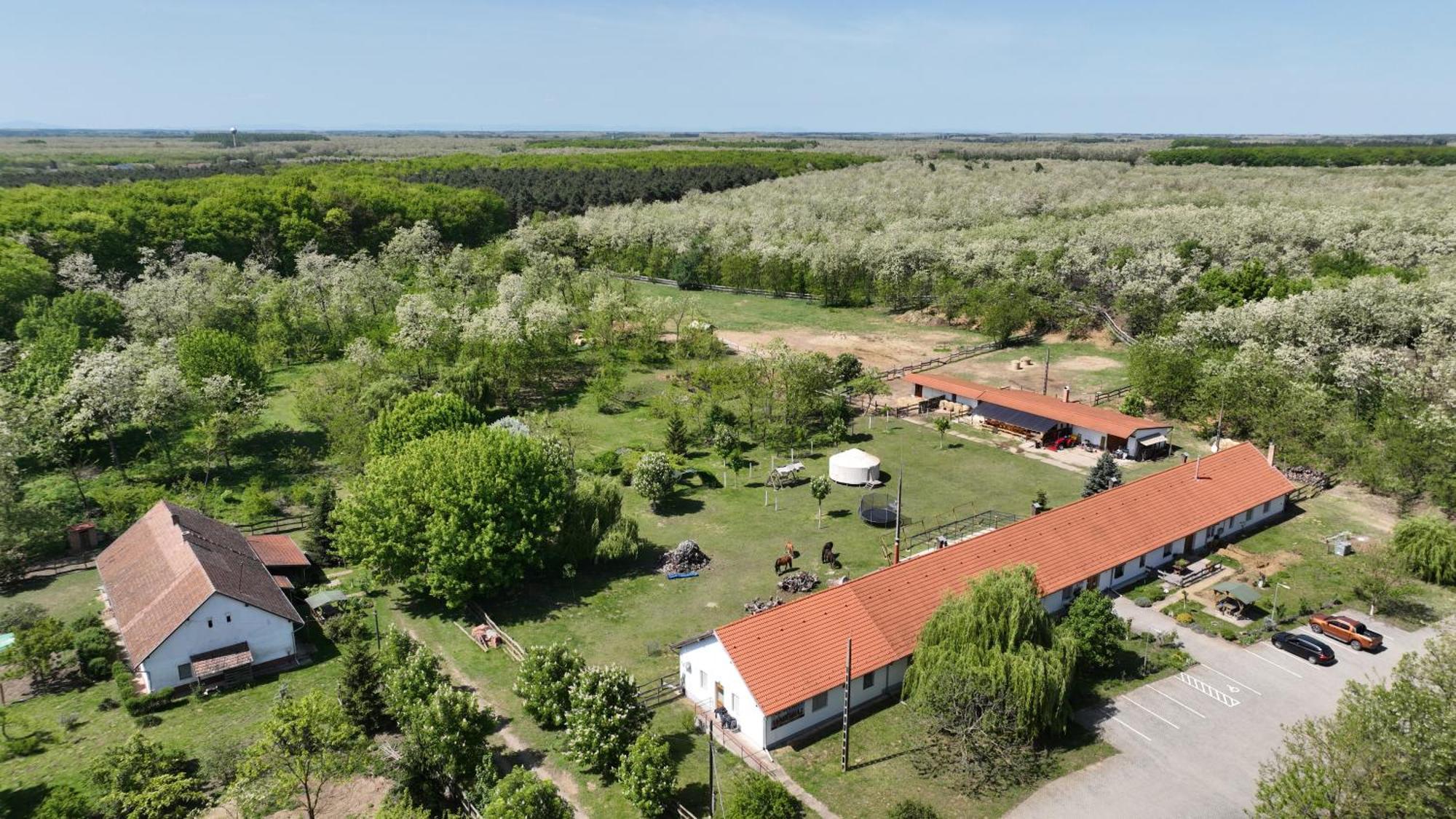 Akacliget Vendeghaz Es Major Hotell Ofeherto Exteriör bild